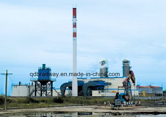 自動制御石炭水蒸気・熱水混合ボイラー（混合燃料ボイラー）